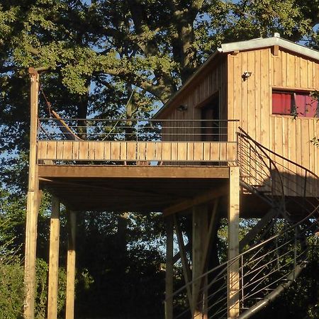 La Cabane Perchee Du Faucon Frechou-Frechet Buitenkant foto